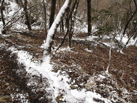20160204hike (269)